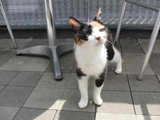 c0201113_20594526.jpg