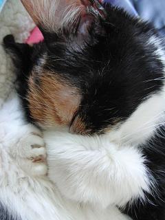 c0201113_21010100.jpg