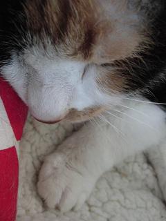 c0201113_2121742.jpg