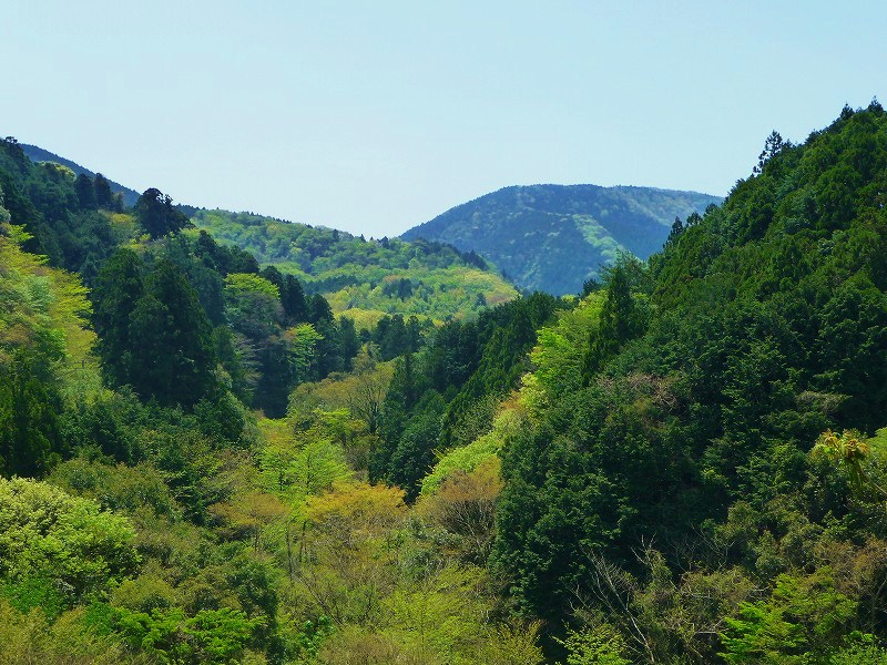f0182513_2157406.jpg