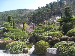 b0187514_23483994.jpg