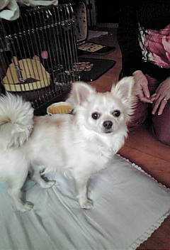c0203915_19322346.jpg