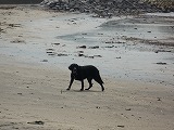 d0063615_11544931.jpg
