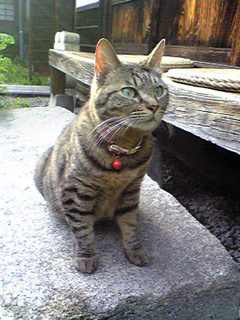 e0156015_13472999.jpg