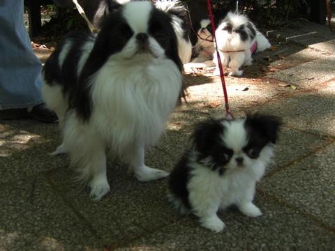 c0200916_023204.jpg