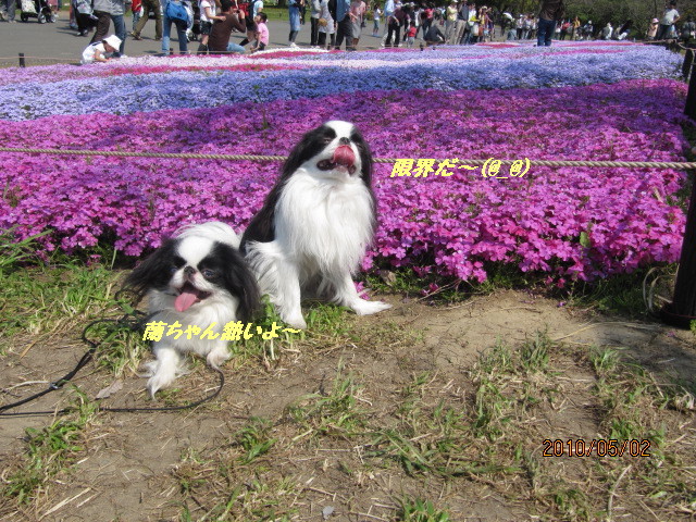 c0200916_0303531.jpg