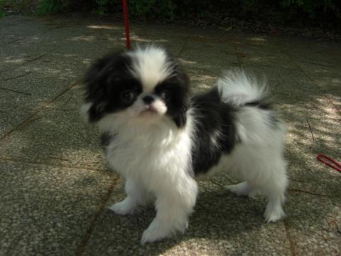c0200916_0393420.jpg