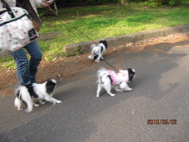 c0200916_0564515.jpg