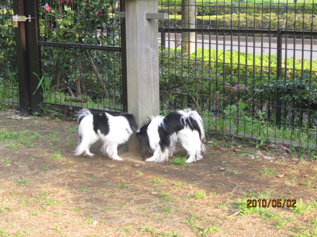 c0200916_133034.jpg