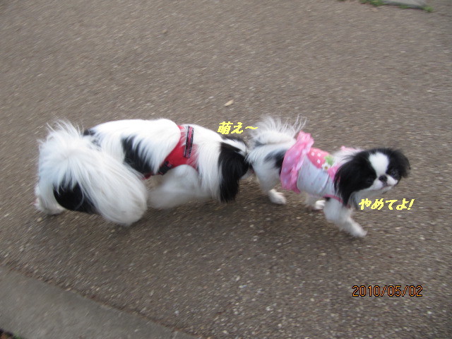 c0200916_14473.jpg