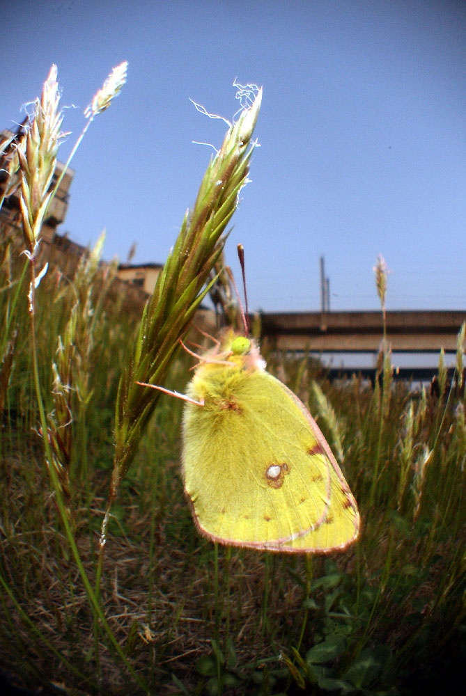 c0145418_2022392.jpg