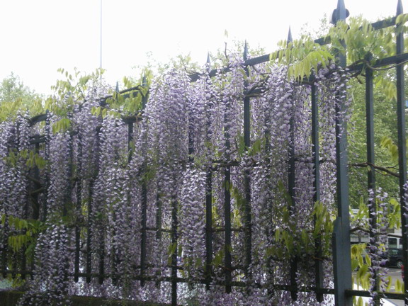 c0124619_2154917.jpg