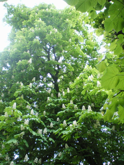 c0124619_2158253.jpg
