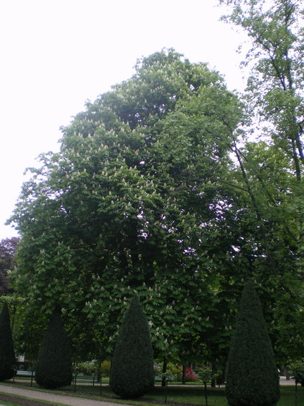 c0124619_22111599.jpg
