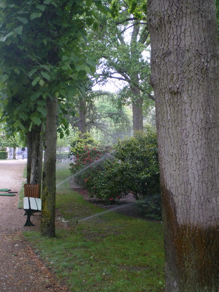 c0124619_22124690.jpg