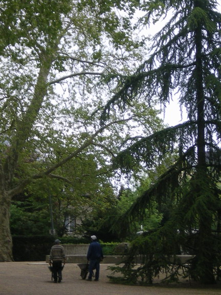 c0124619_22141024.jpg