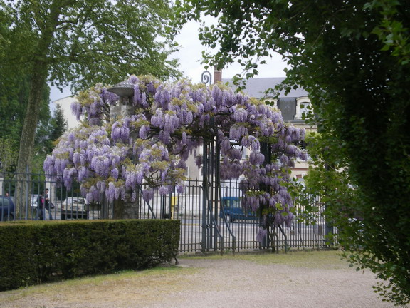 c0124619_22232915.jpg