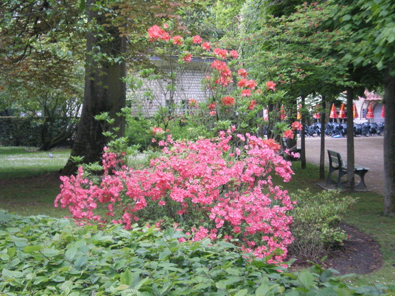 c0124619_22245484.jpg