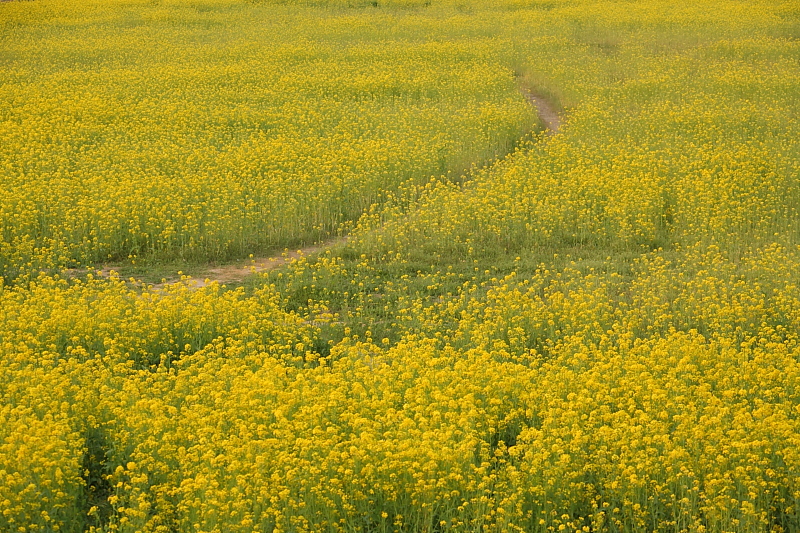c0191021_1953824.jpg