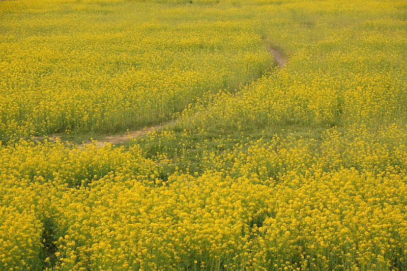 小布施 千曲川ふれあい公園にて_c0191021_1953824.jpg