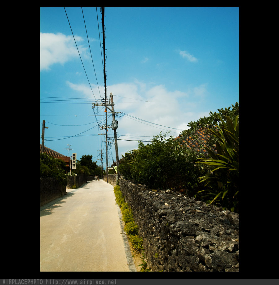 沖縄離島編4　牛と看板と猫_f0086721_2384074.jpg