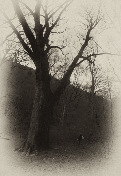 c0143722_14462767.jpg