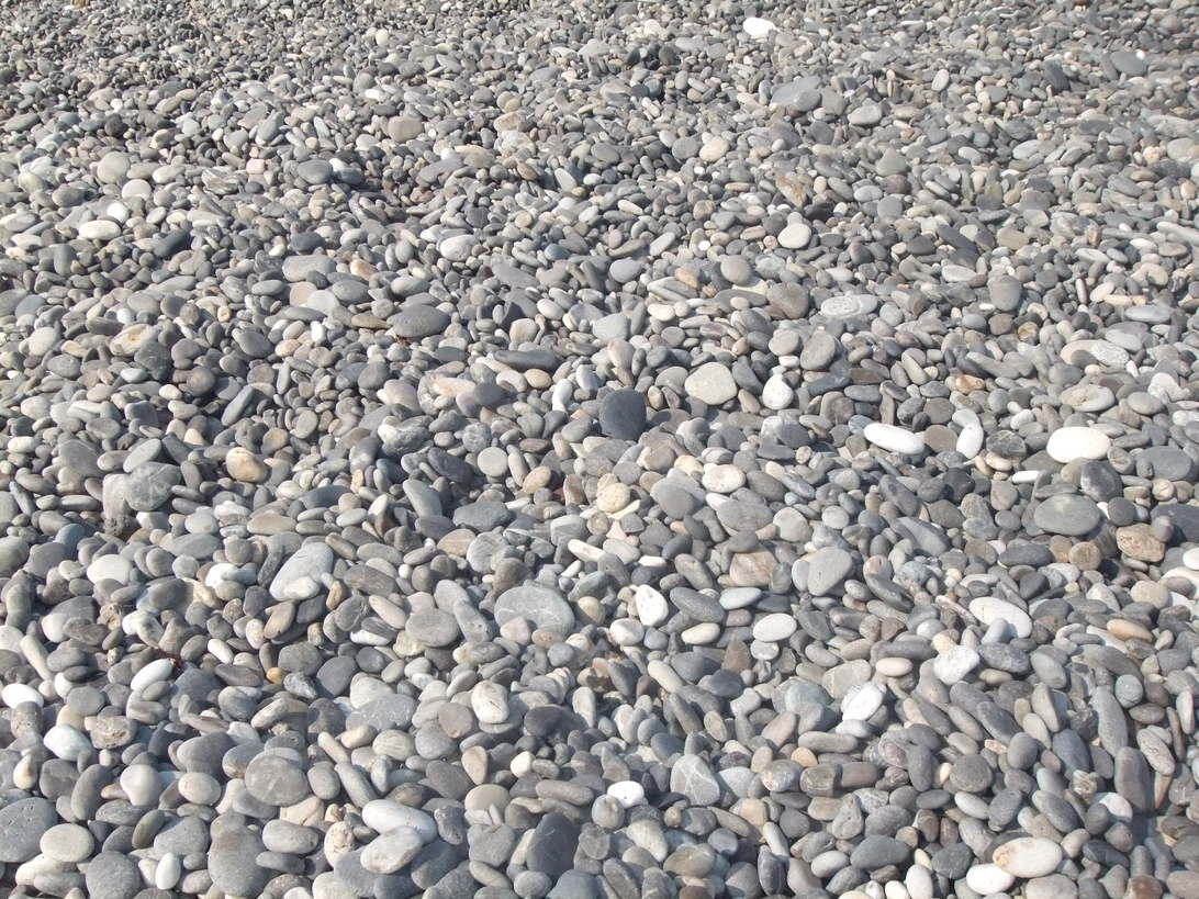 f0183722_20404598.jpg