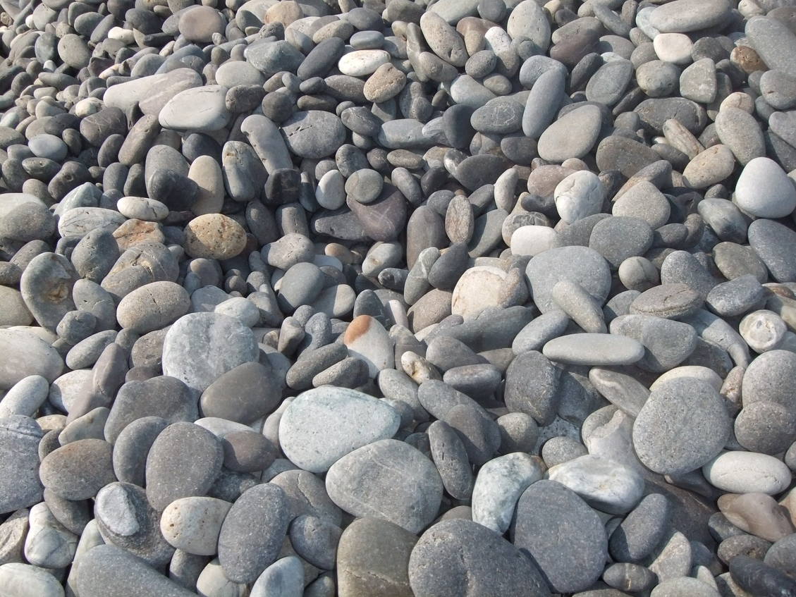 f0183722_20415180.jpg