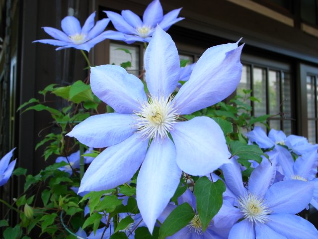 f0209122_1481947.jpg