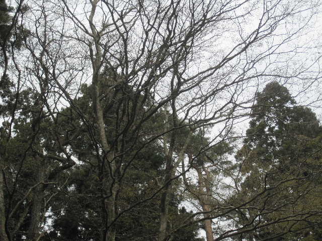 c0141223_2272541.jpg