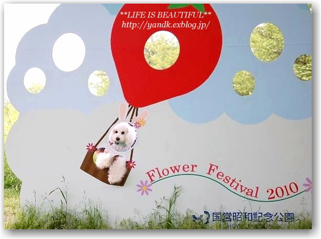 Flower Festival 2010_d0083623_2101464.jpg