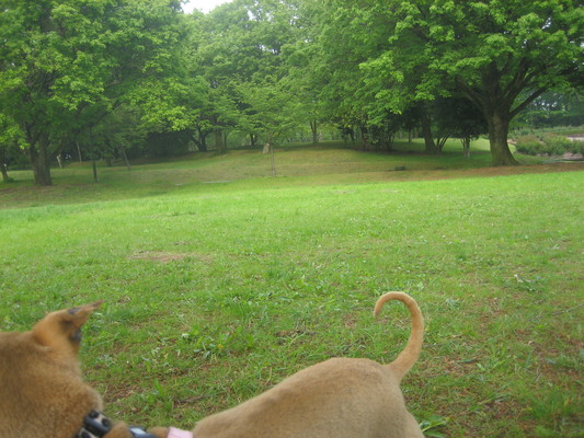 f0217723_22263684.jpg