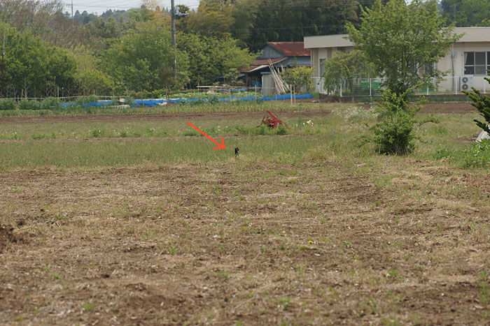 d0089024_18271939.jpg