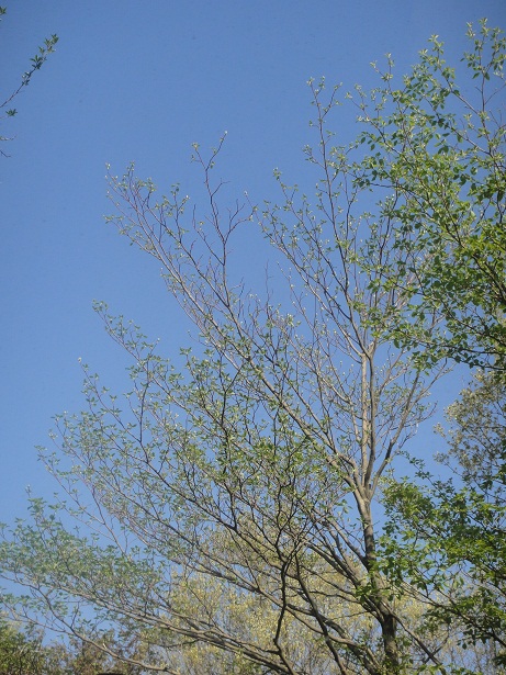 b0044825_1893939.jpg