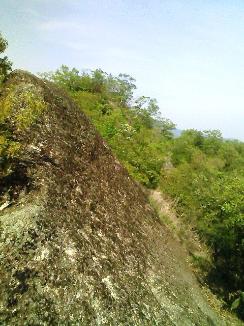 b0184725_0231981.jpg