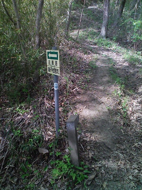 b0184725_0411124.jpg