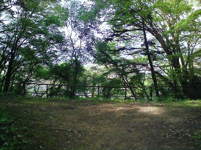 b0184725_045812.jpg