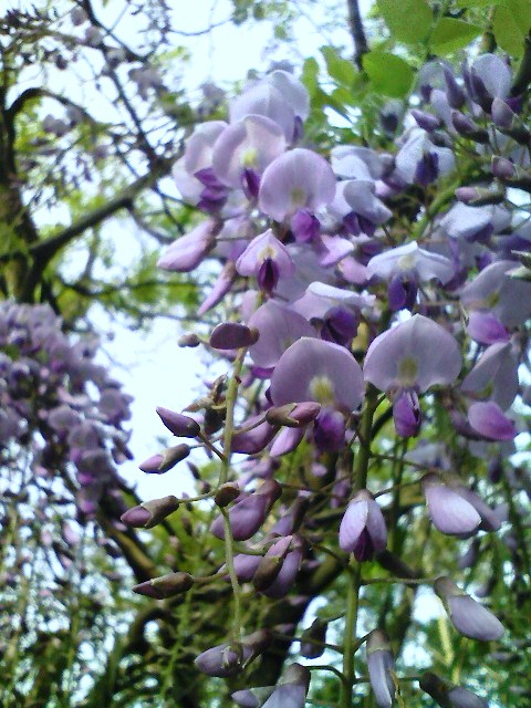 b0184725_0465017.jpg