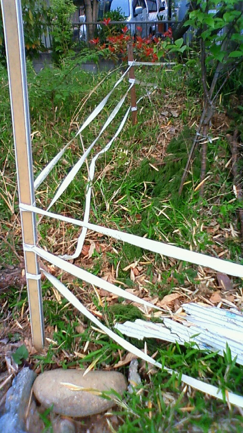 c0184427_18283827.jpg
