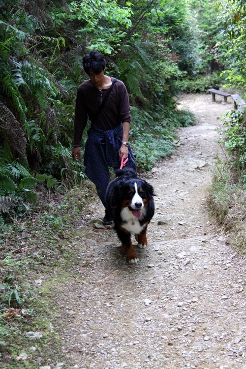 朝熊山（朝熊岳）登山の巻！_a0151129_21312538.jpg