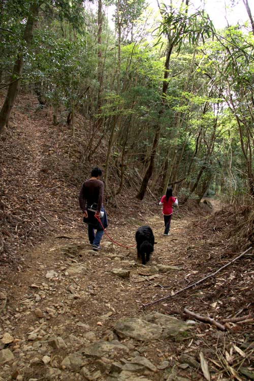 朝熊山（朝熊岳）登山の巻！_a0151129_22473293.jpg