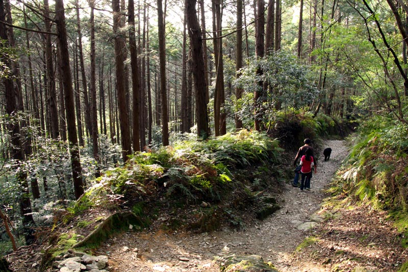 朝熊山（朝熊岳）登山の巻！_a0151129_22525225.jpg