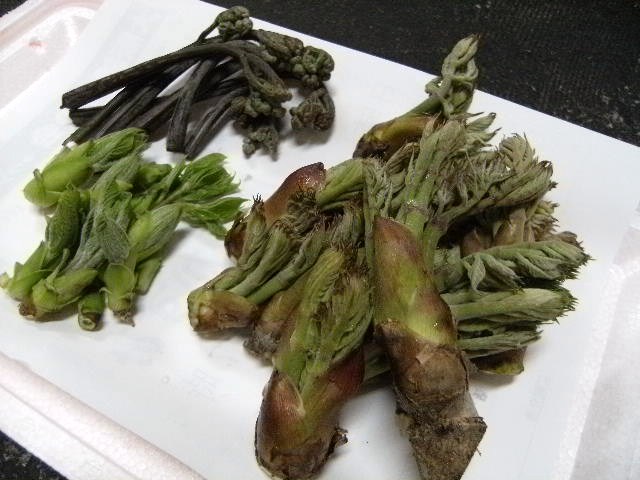 c0210829_0461352.jpg