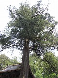 a0156230_17445440.jpg