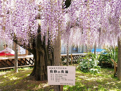 c0143330_10463964.jpg