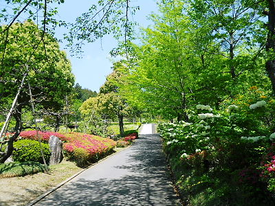 GWに奥山高原へ行ってみたが、遊園地が休止中_c0143330_17531447.jpg