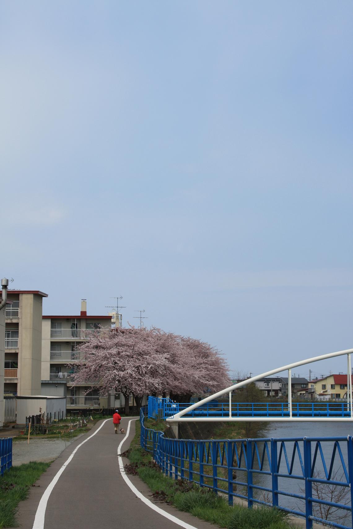 a0123331_22472165.jpg