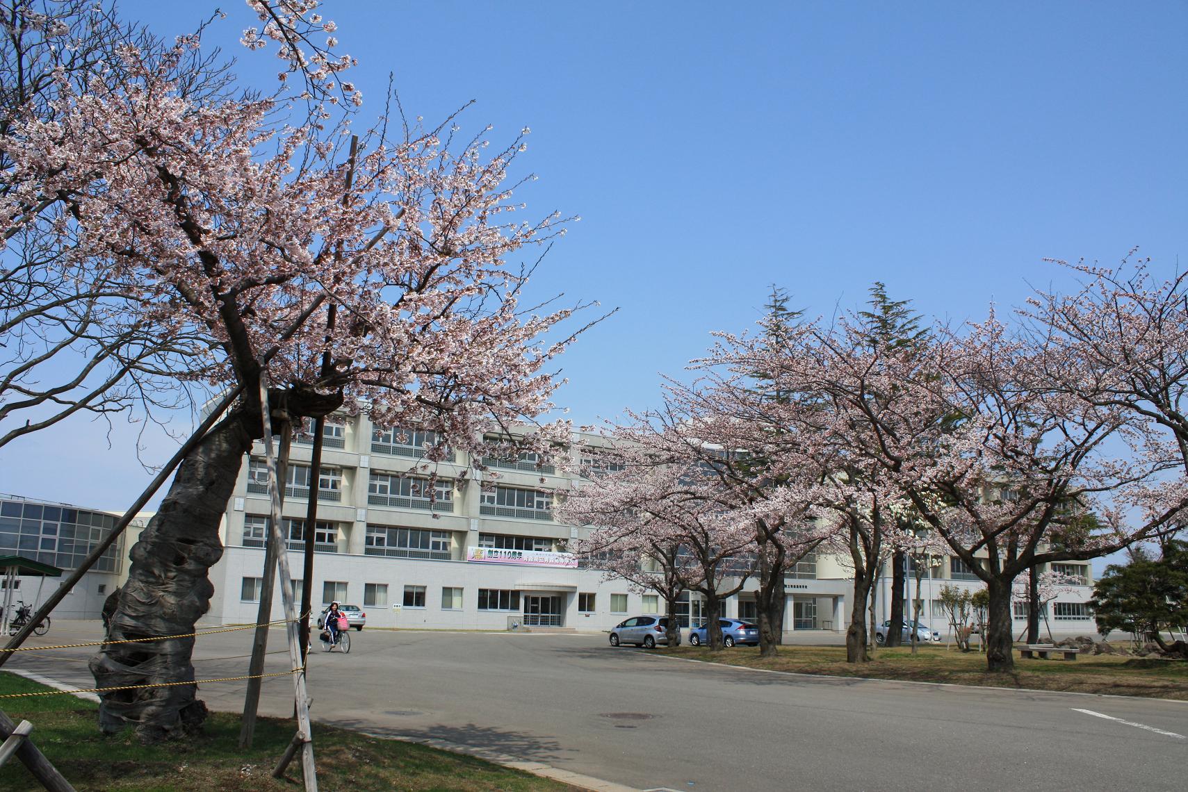 a0123331_2248589.jpg