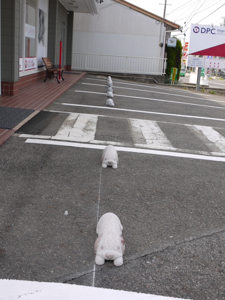 d0156734_1049157.jpg