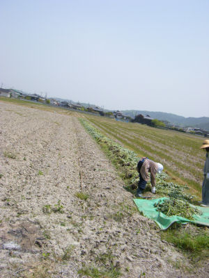 c0069036_19312550.jpg